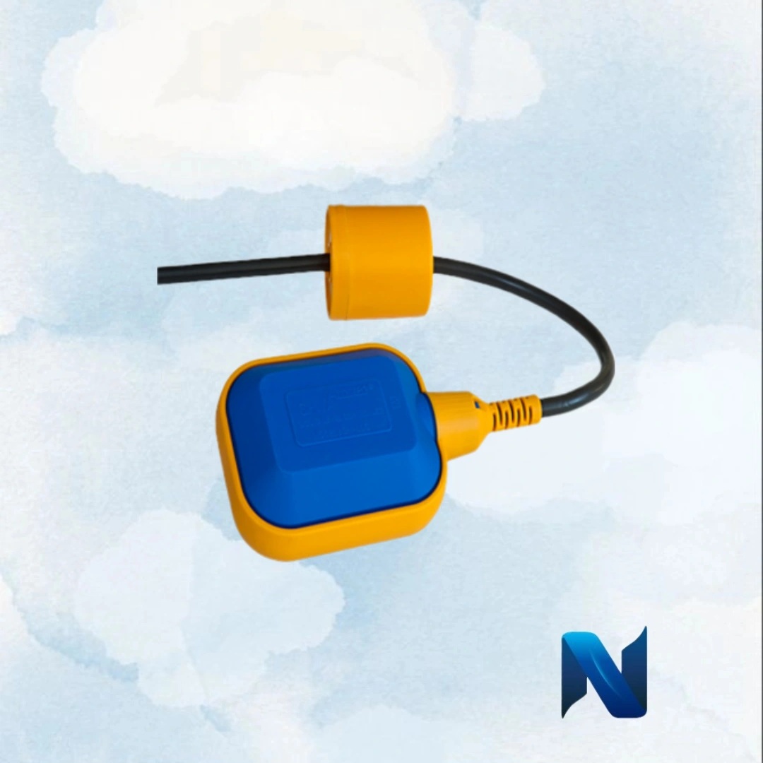 IMG_20250225_152053_709