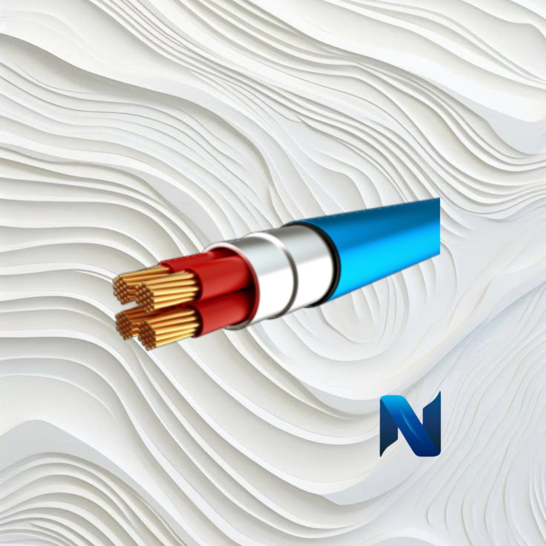 IMG_20250226_094000_775