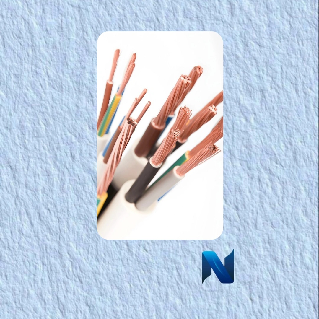 IMG_20250228_110158_938