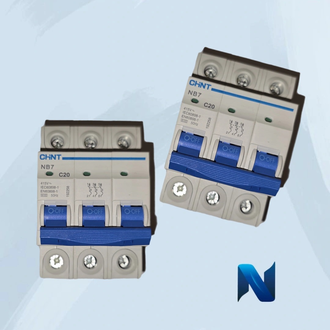 IMG_20250311_130011_811