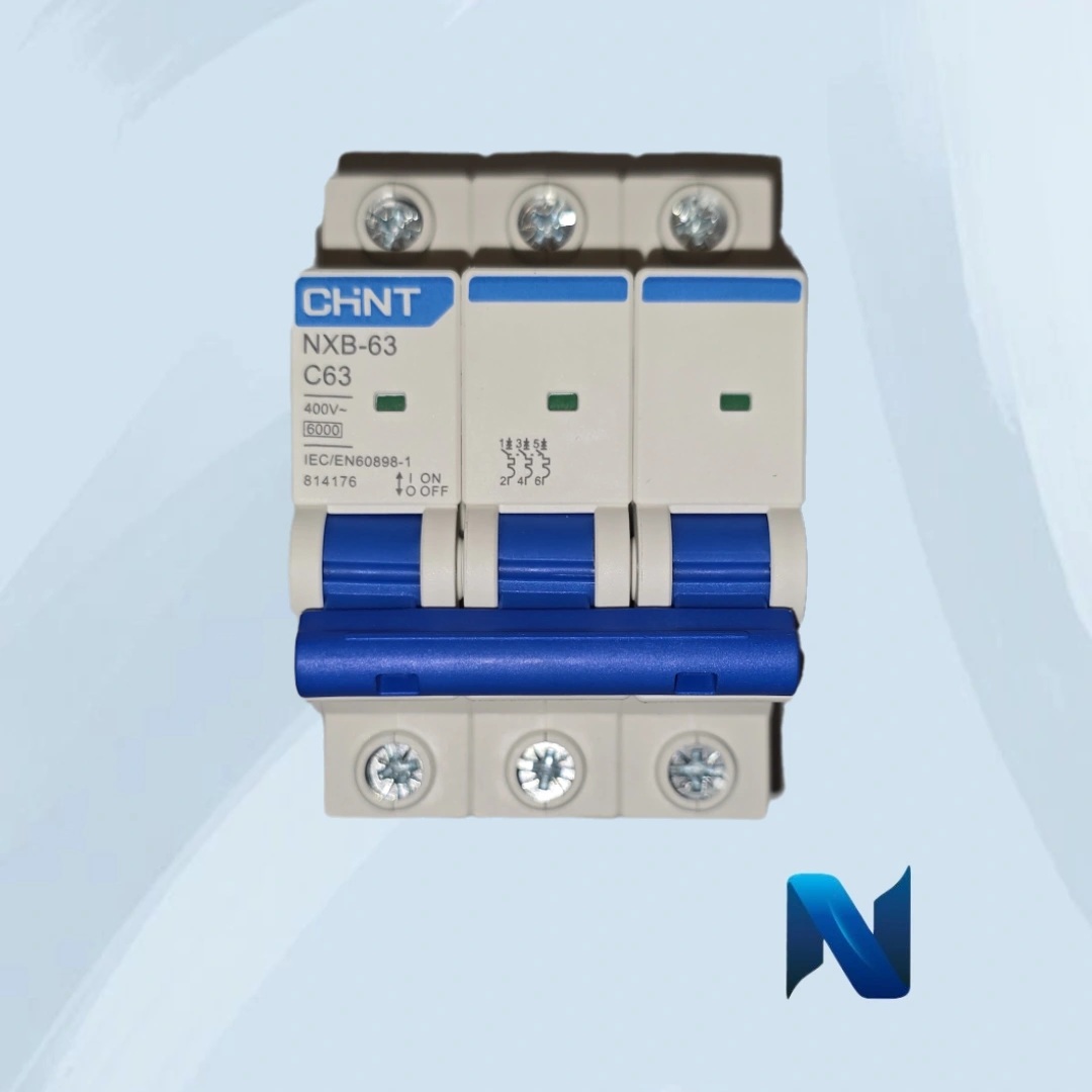 IMG_20250311_130407_622