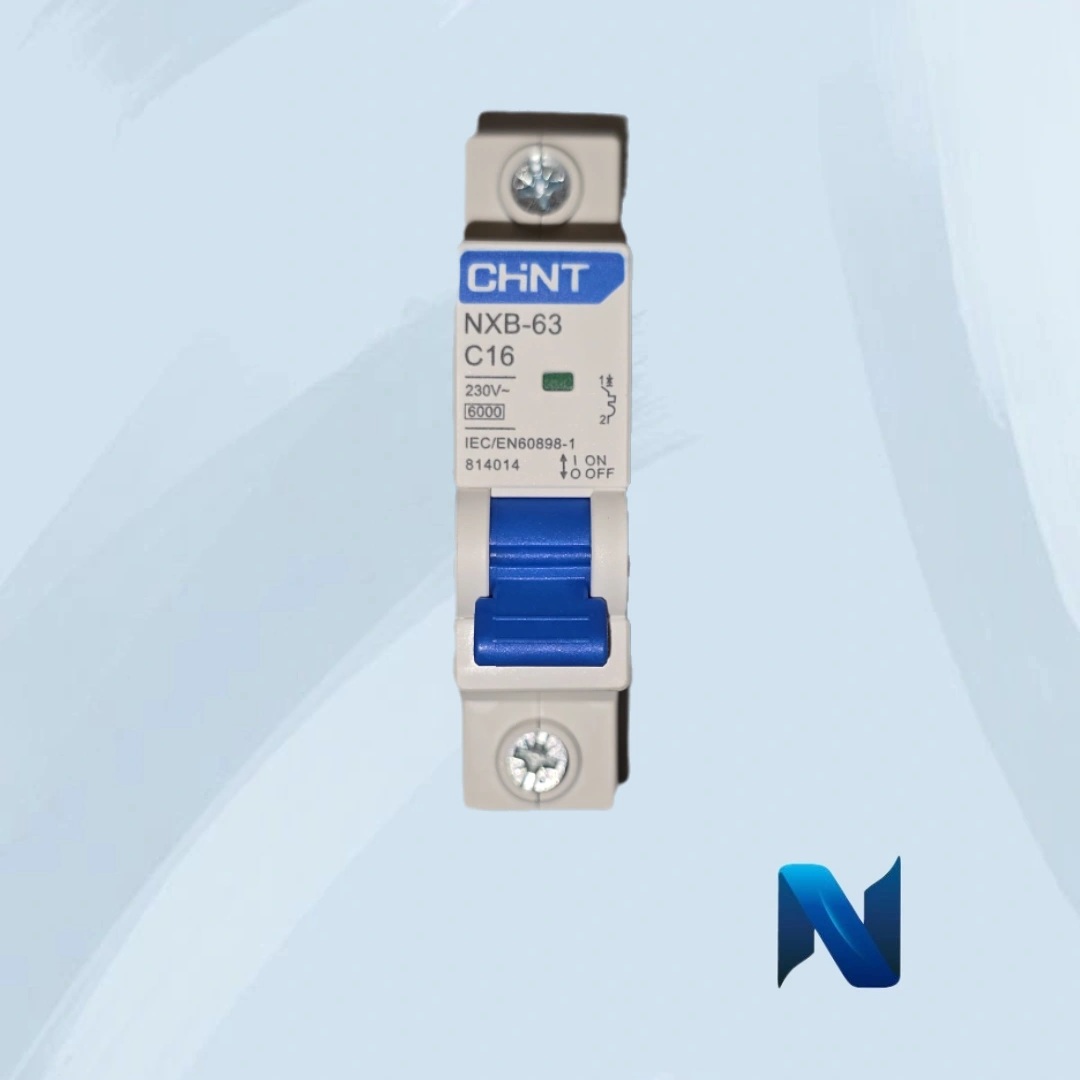 IMG_20250311_130419_644